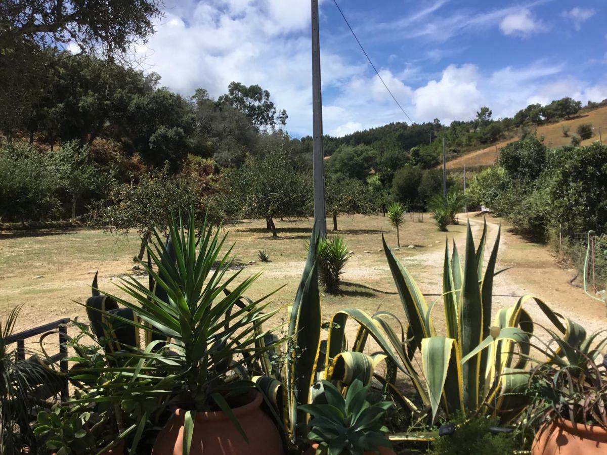 Вилла Quinta Boavista Cercal do Alentejo Экстерьер фото