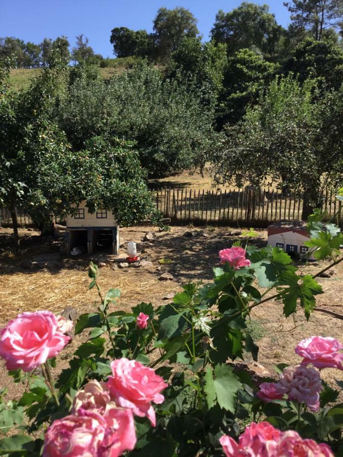 Вилла Quinta Boavista Cercal do Alentejo Экстерьер фото