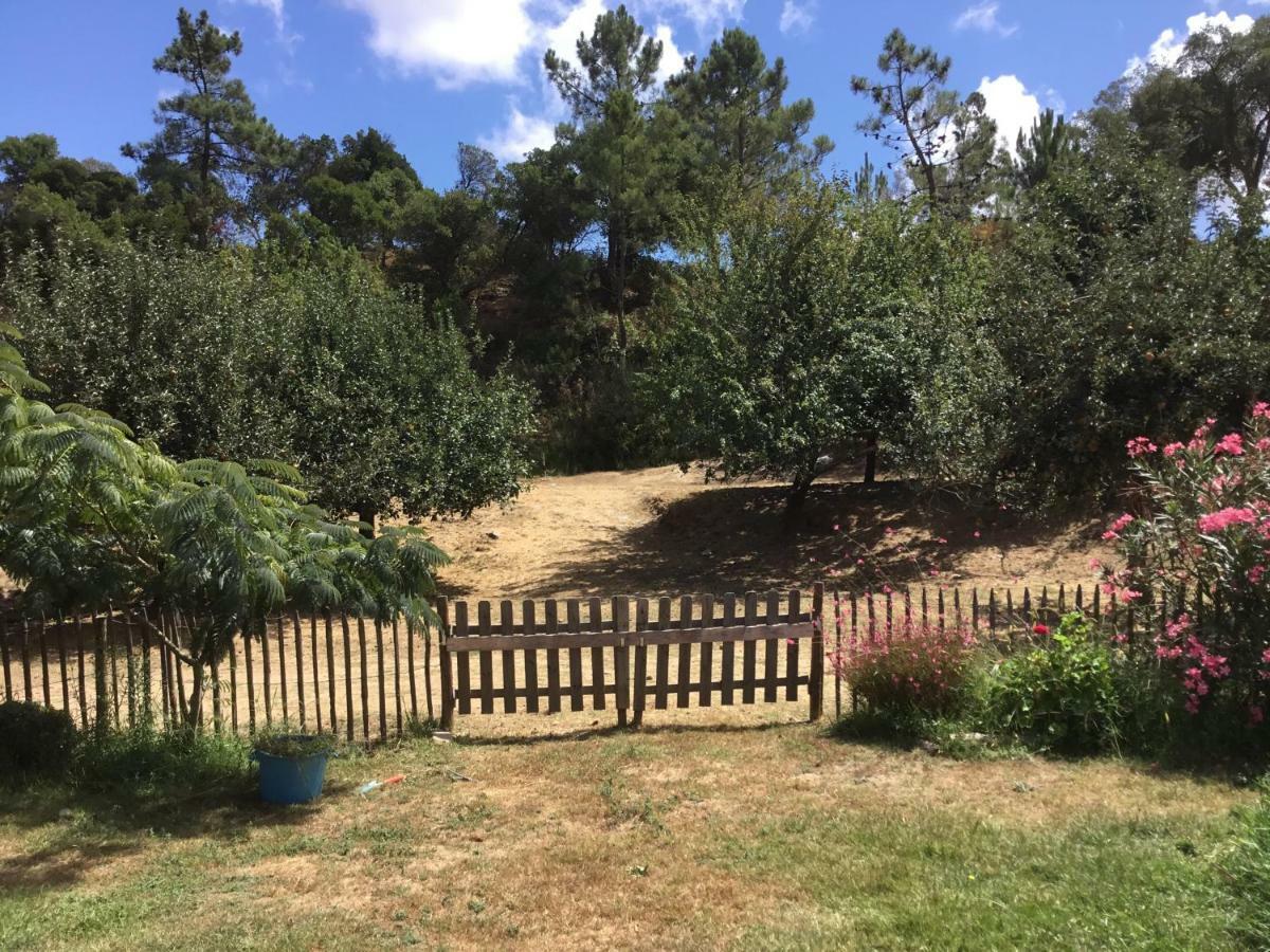 Вилла Quinta Boavista Cercal do Alentejo Экстерьер фото