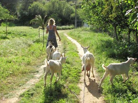 Вилла Quinta Boavista Cercal do Alentejo Экстерьер фото